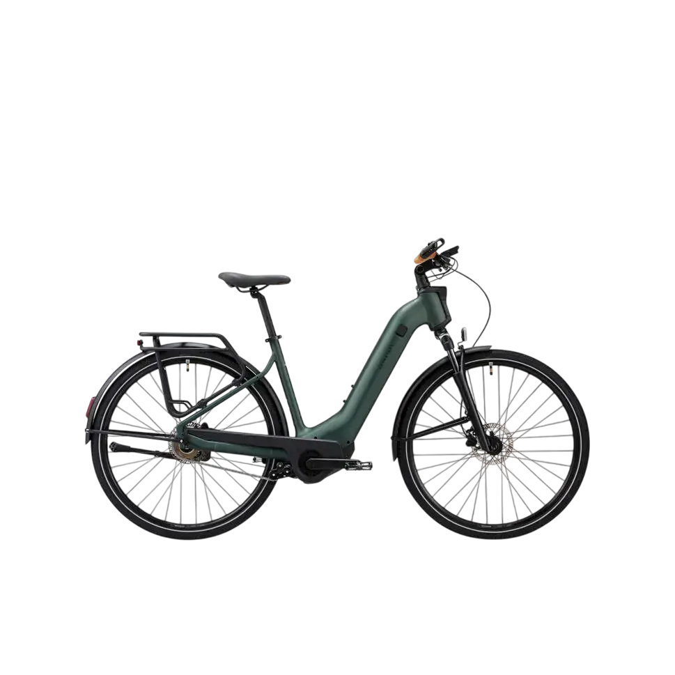 E-Bike SUV Trekkingrad 28 Zoll E-ACTV 900 LF OWURU Automatik grün