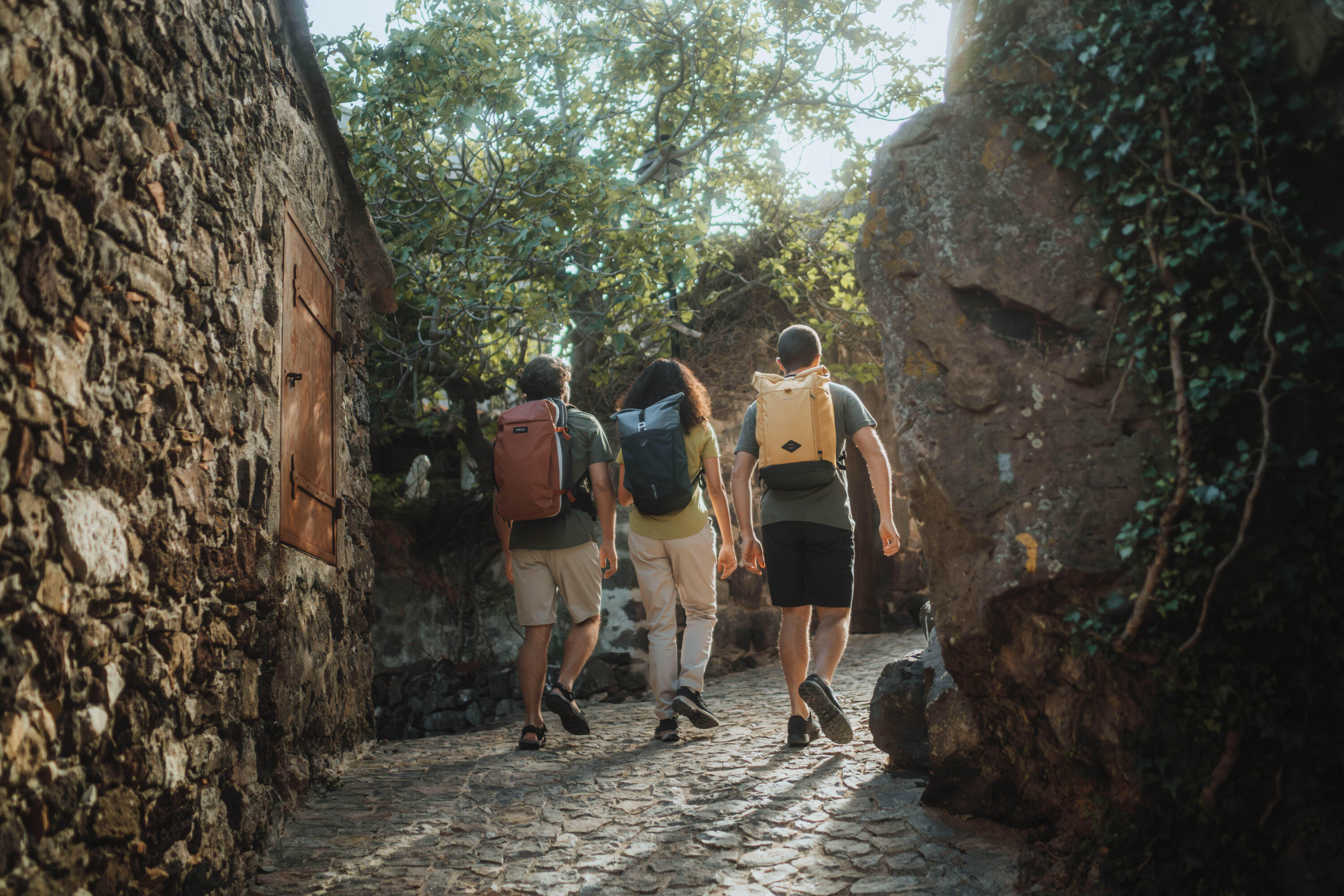Herren-Wandershorts, NH100, Grau 6/6