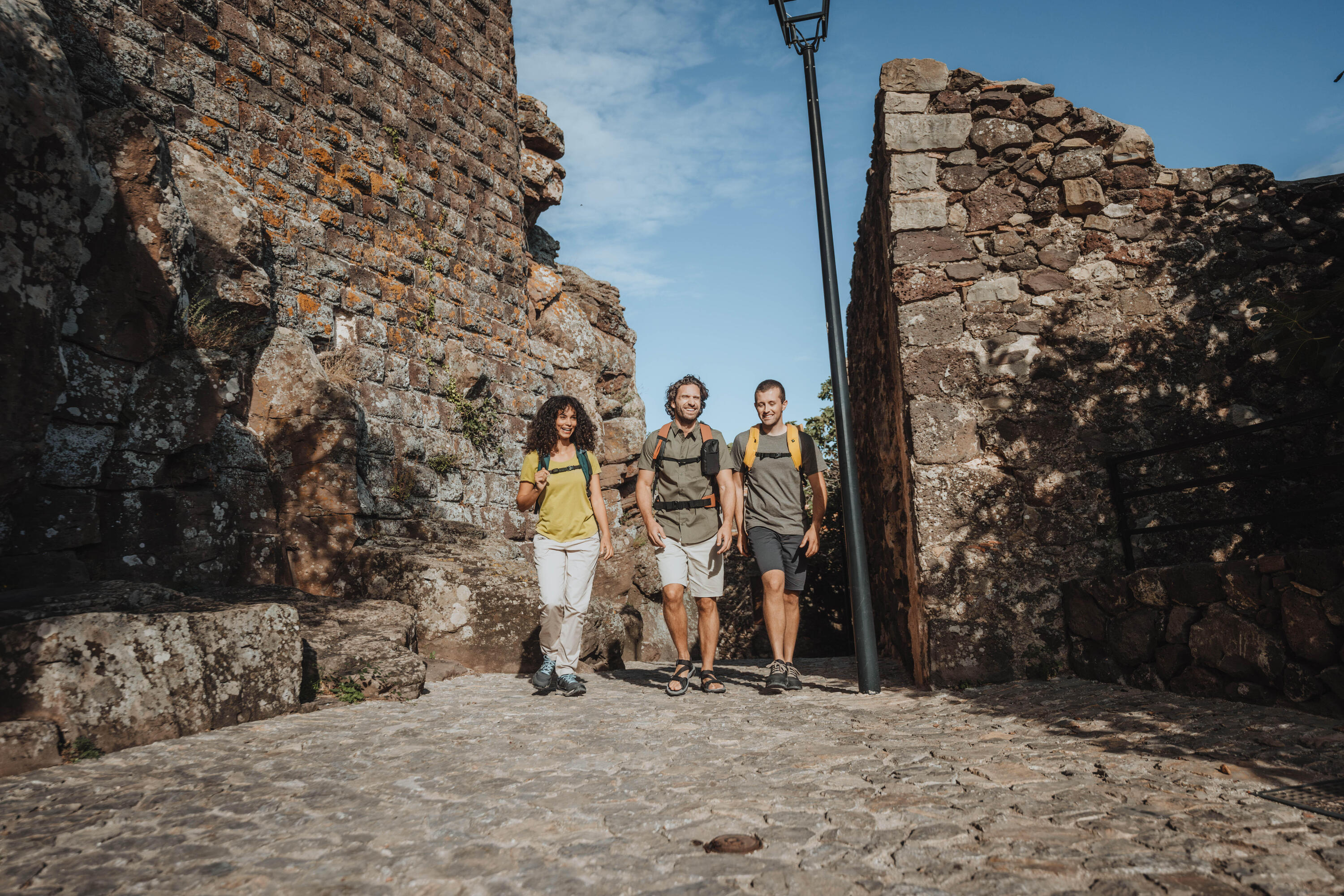 Herren-Wandershorts, NH100, Grau 4/6