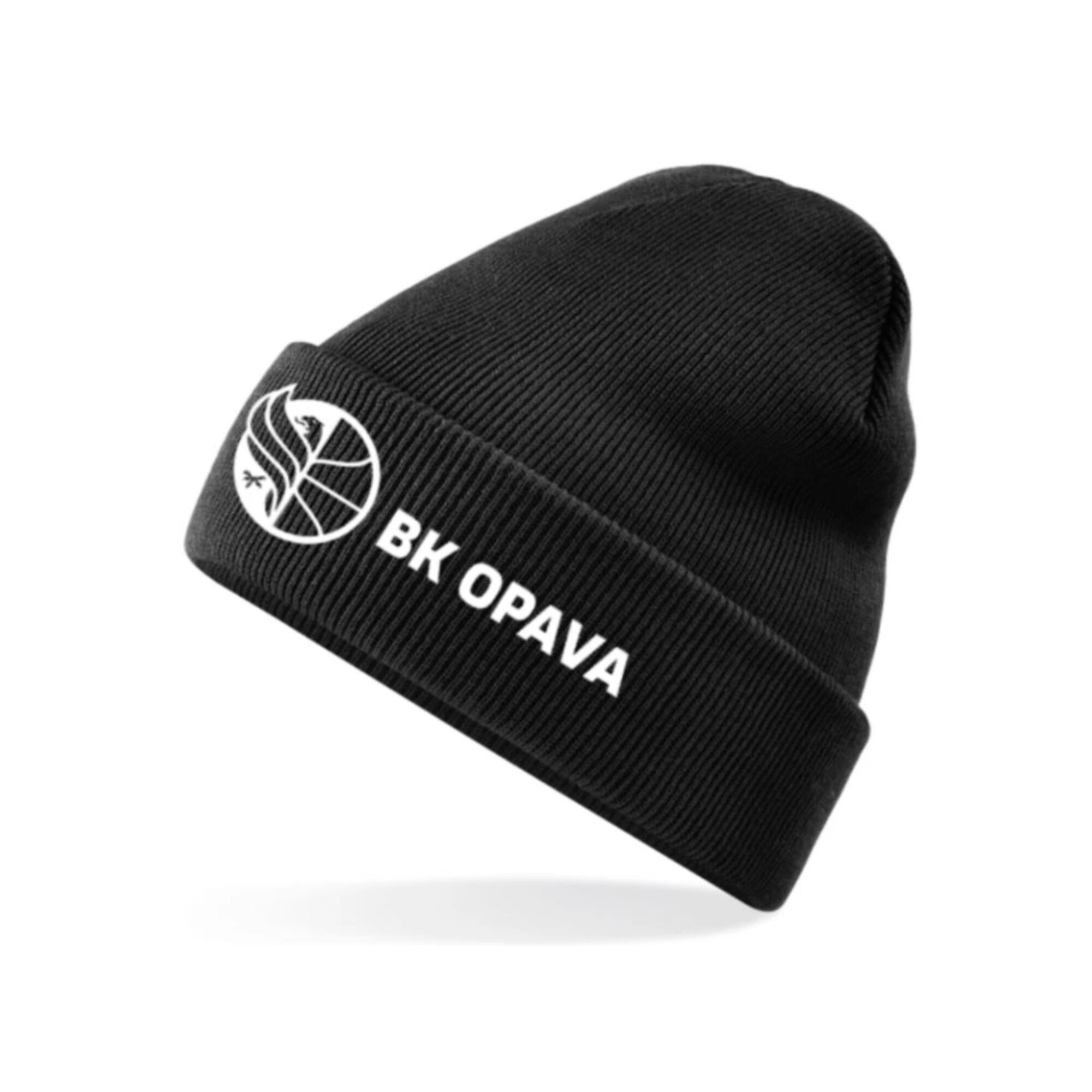 OPAVA picture
