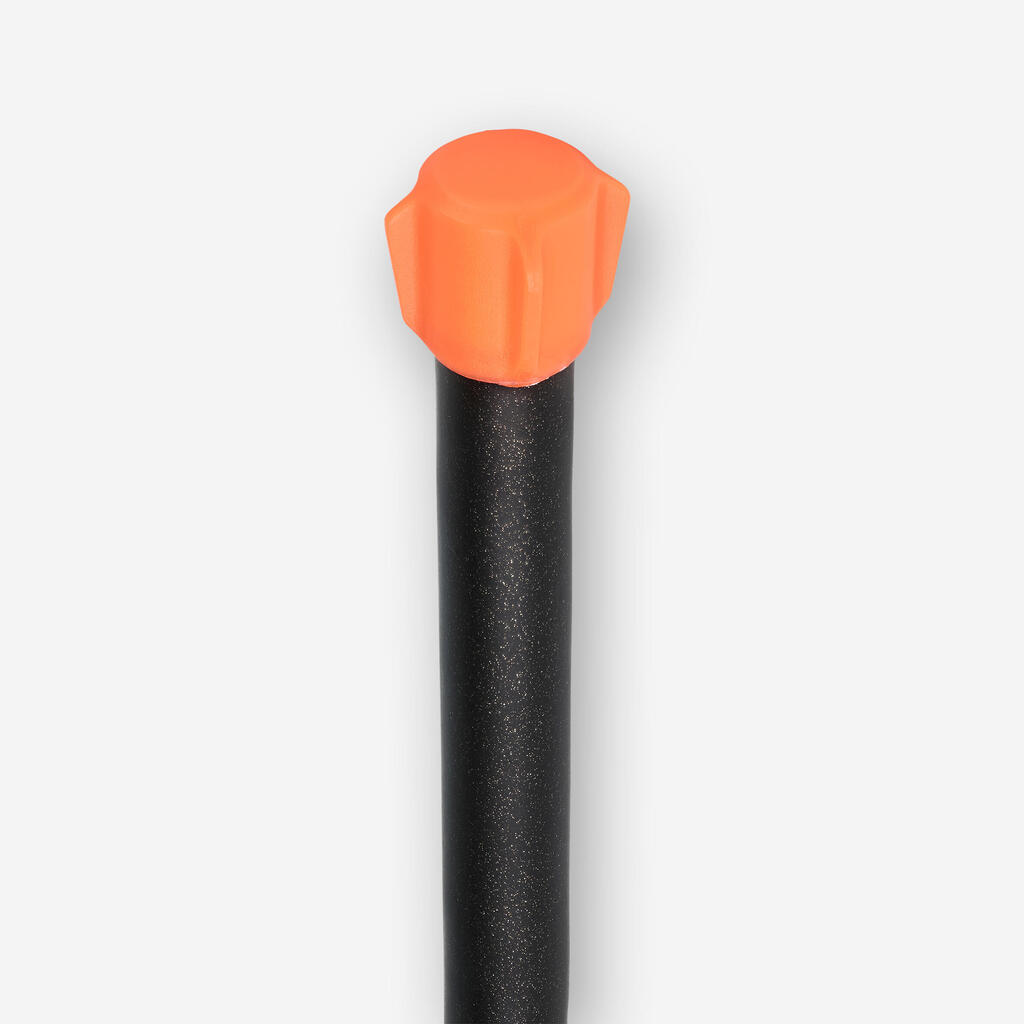 Komplet od 2 vegler plovka za ribolov šarana 500 4 g 6 g