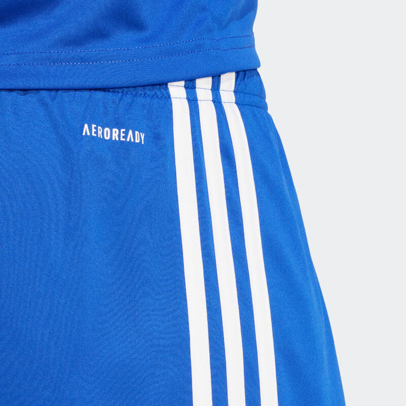Short de football Squadra 25 Adulte Bleu Royal