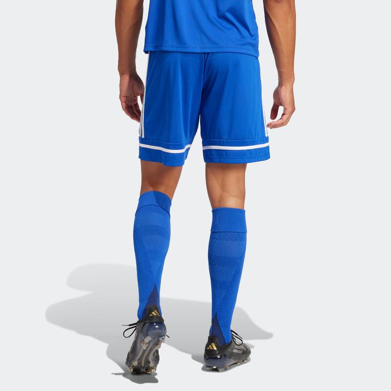 Short de football Squadra 25 Adulte Bleu Royal