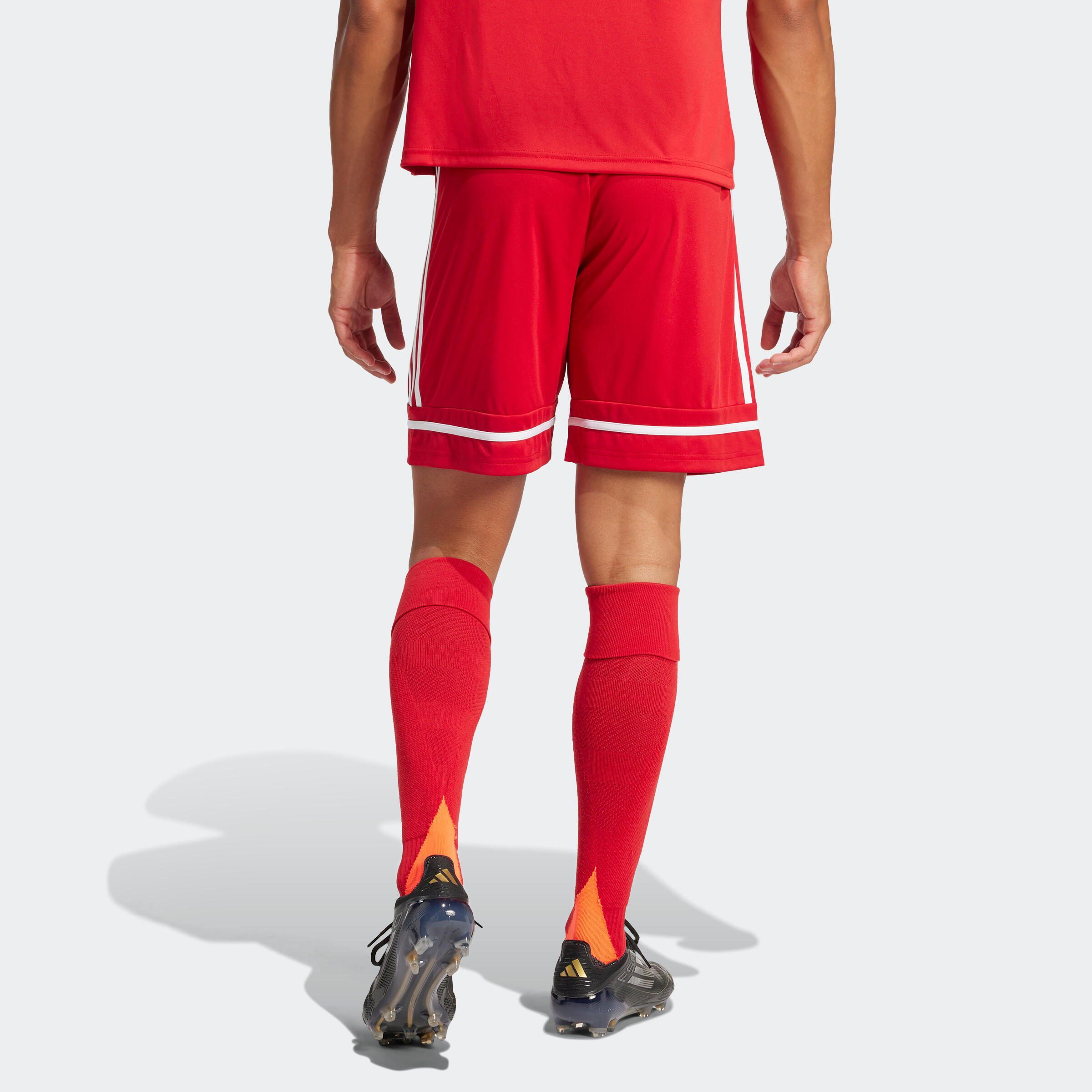 Pantaloncini calcio adulto ADIDAS SQUADRA 25 rossi 6/7