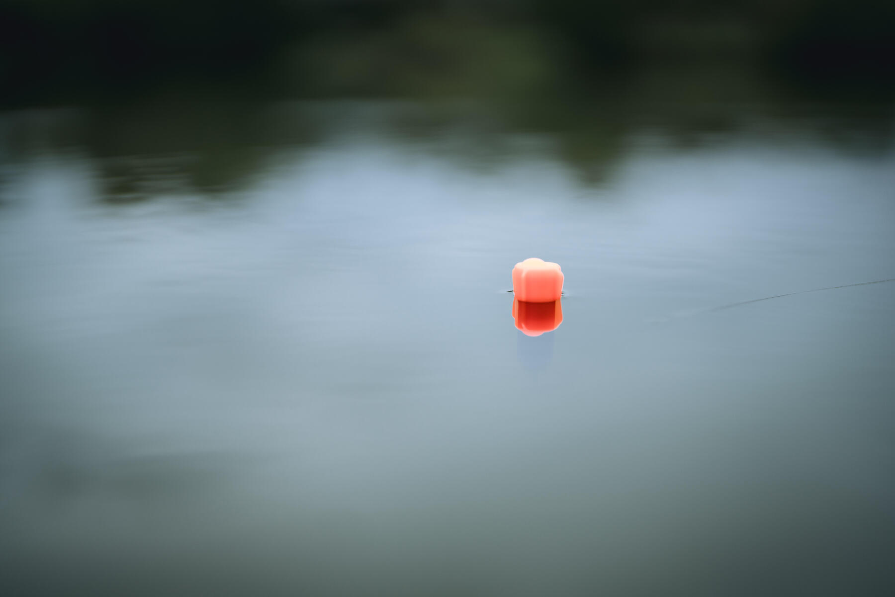 Spławik pellet waggler w wodzie