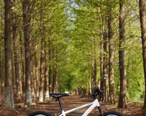 Comment mesurer la taille de son vélo ?