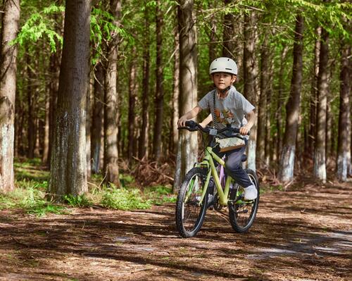 Freins VTT V-Brake