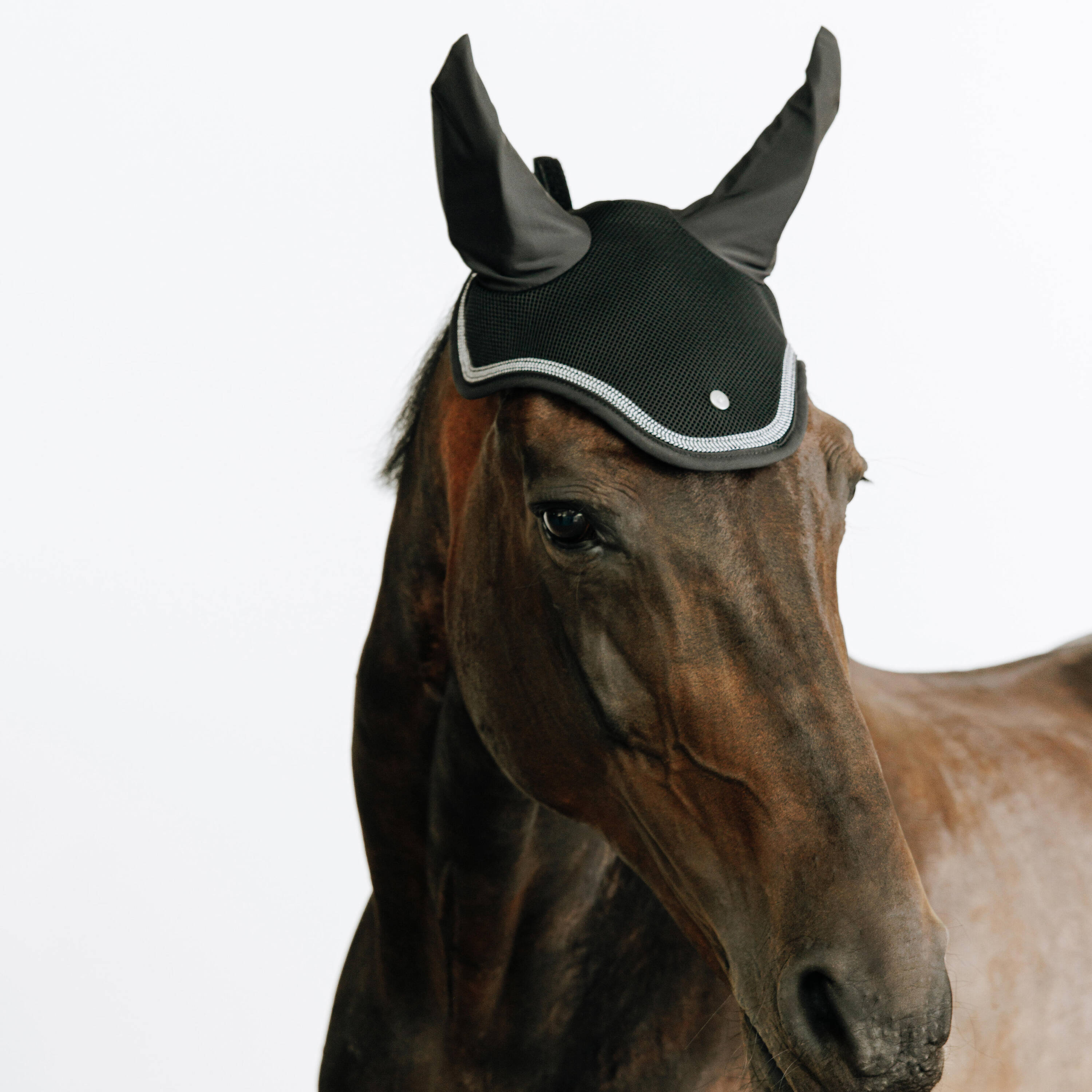 Horse Riding Ear Net - Black -  2