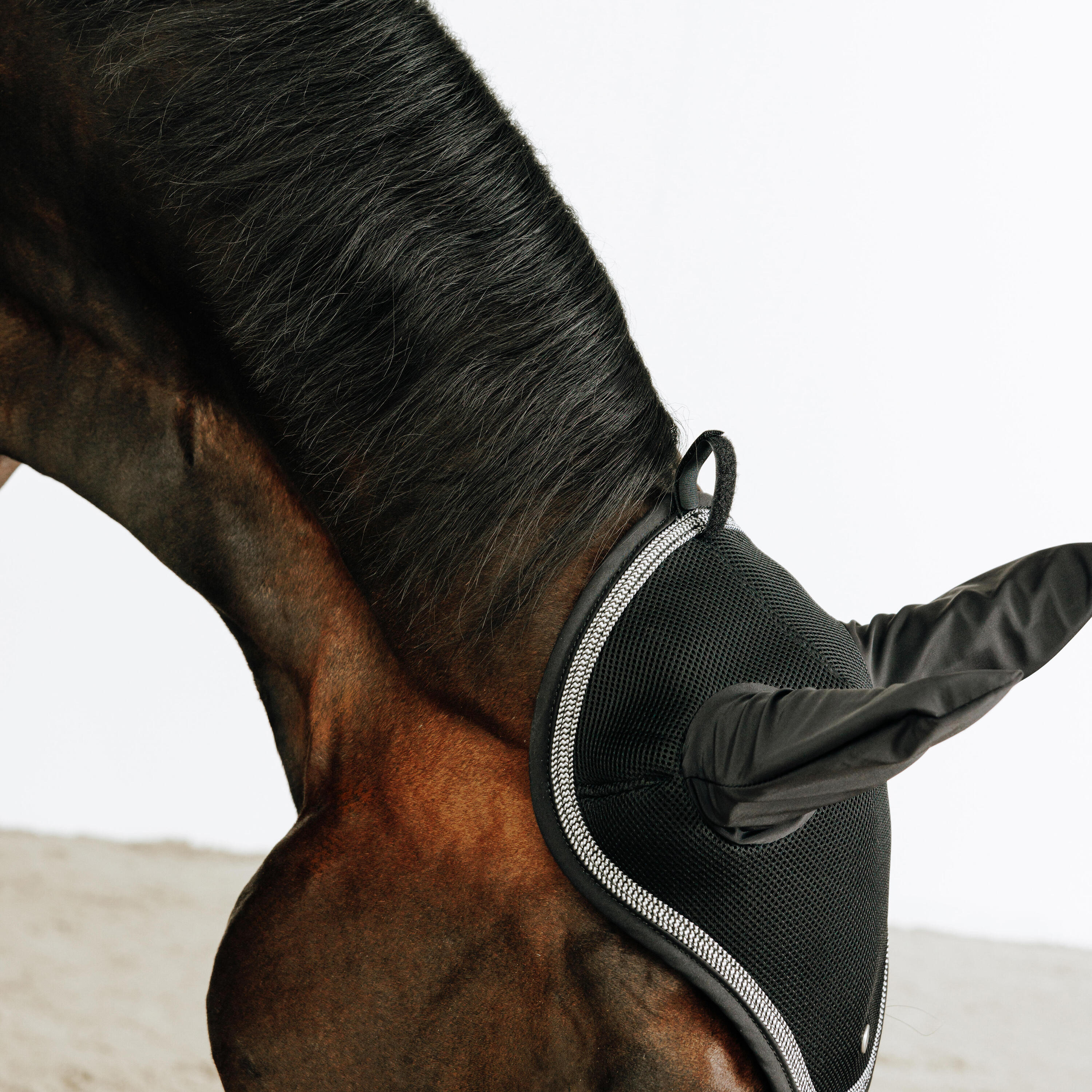 Oornetje voor paard Riding zwart 3/3