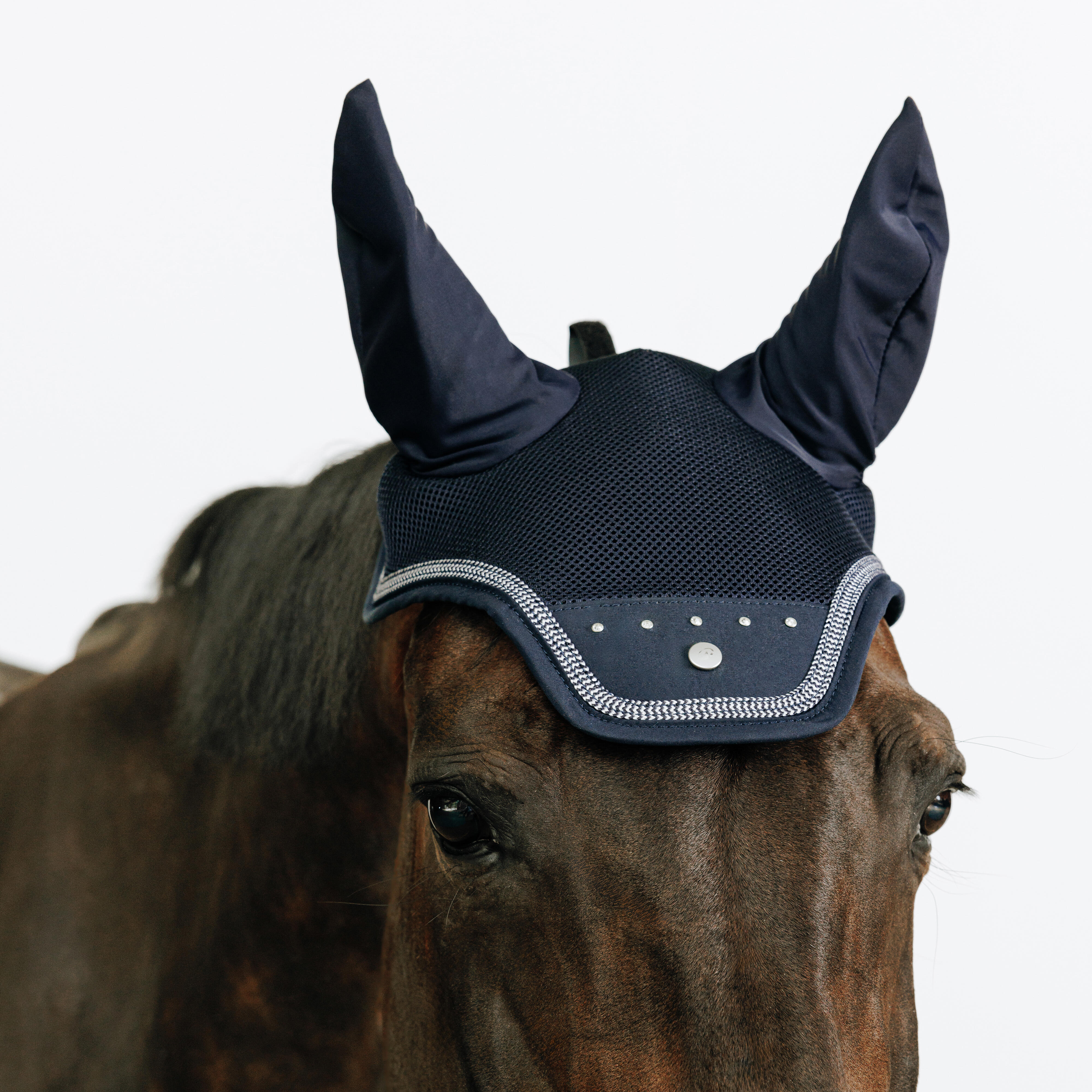 Oornet paardrijden strass-steentjes blauw