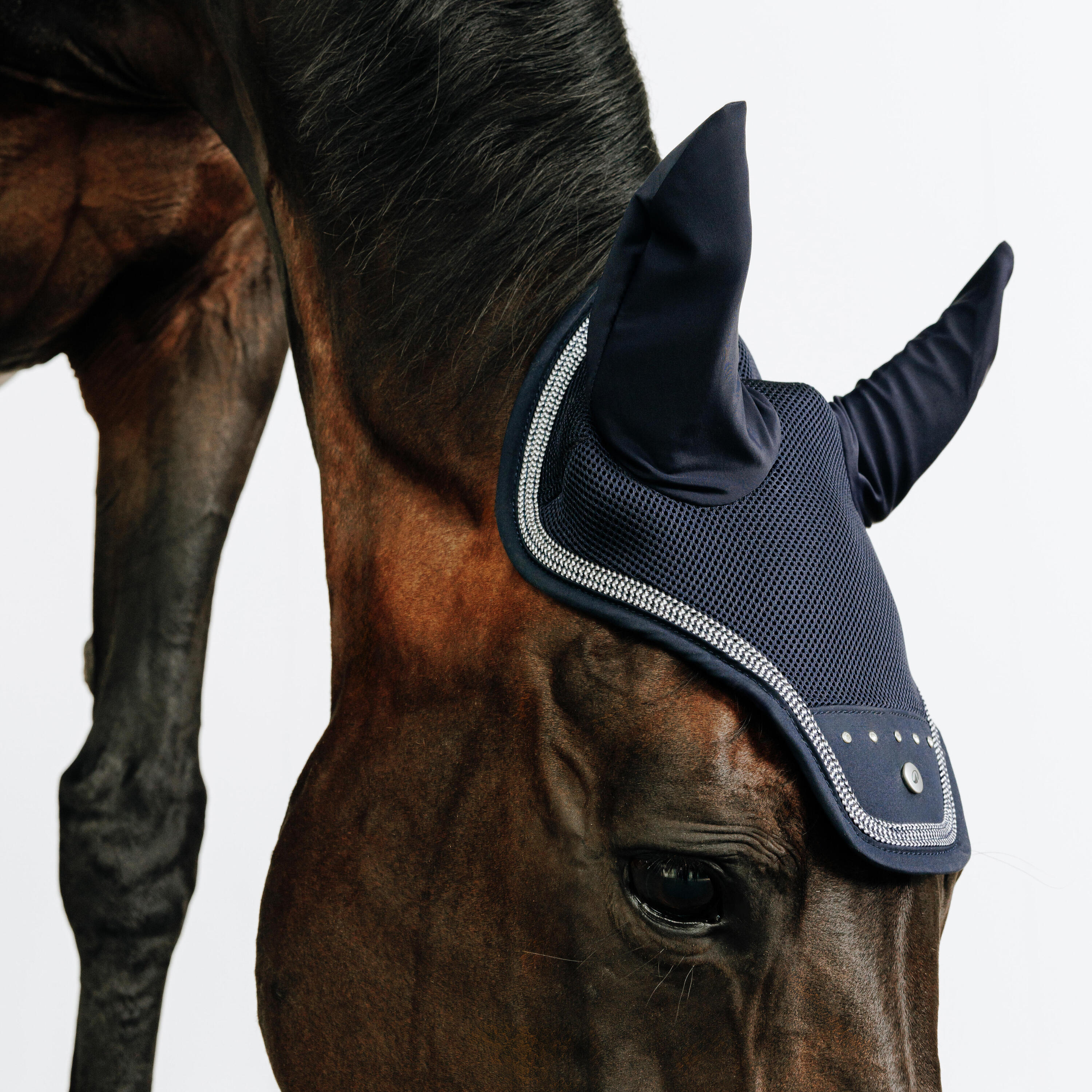 Bonnet équitation cheval - strass bleu 2/3
