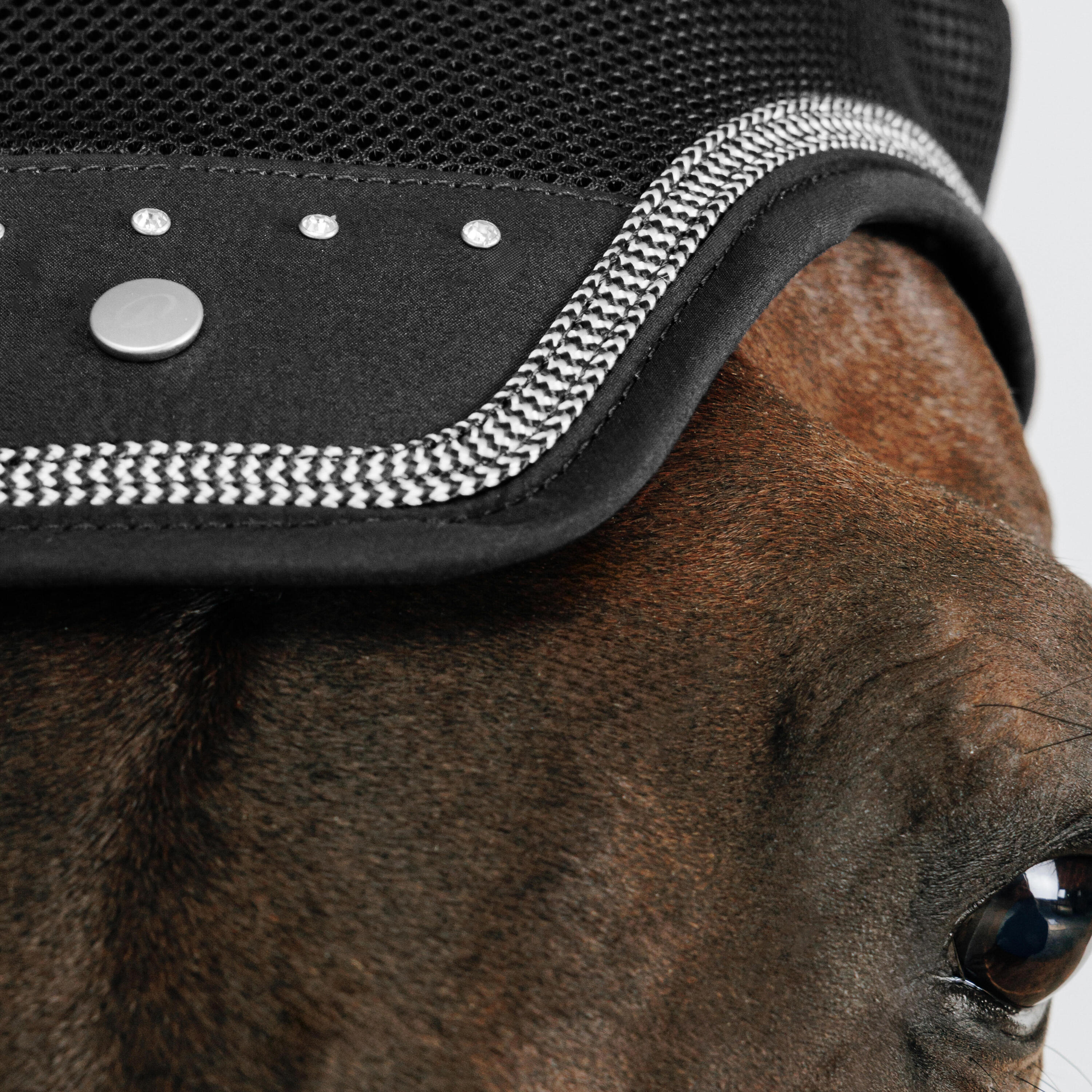 Oornetje voor paard strass zwart 3/3