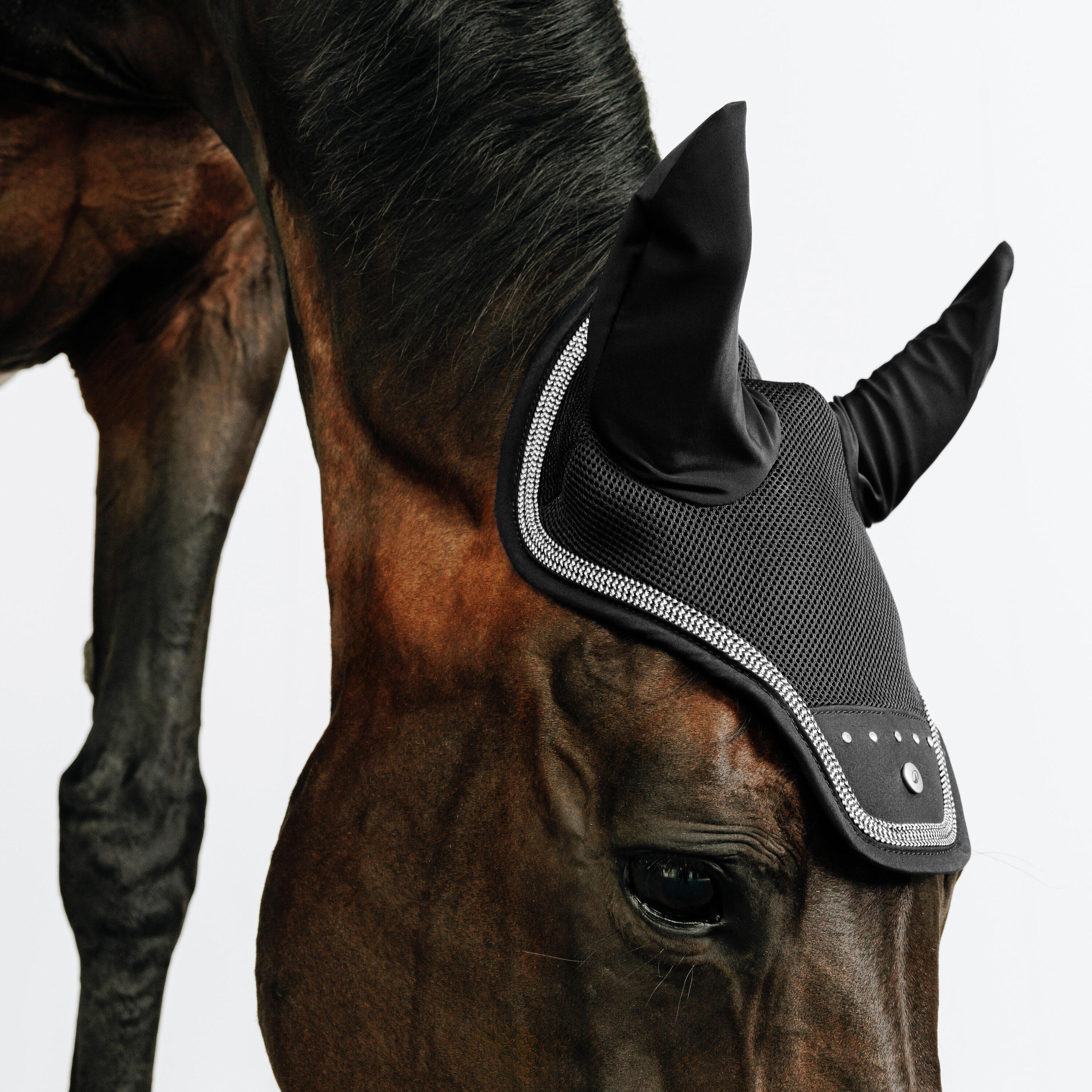 Oornetje voor paard strass zwart 2/3