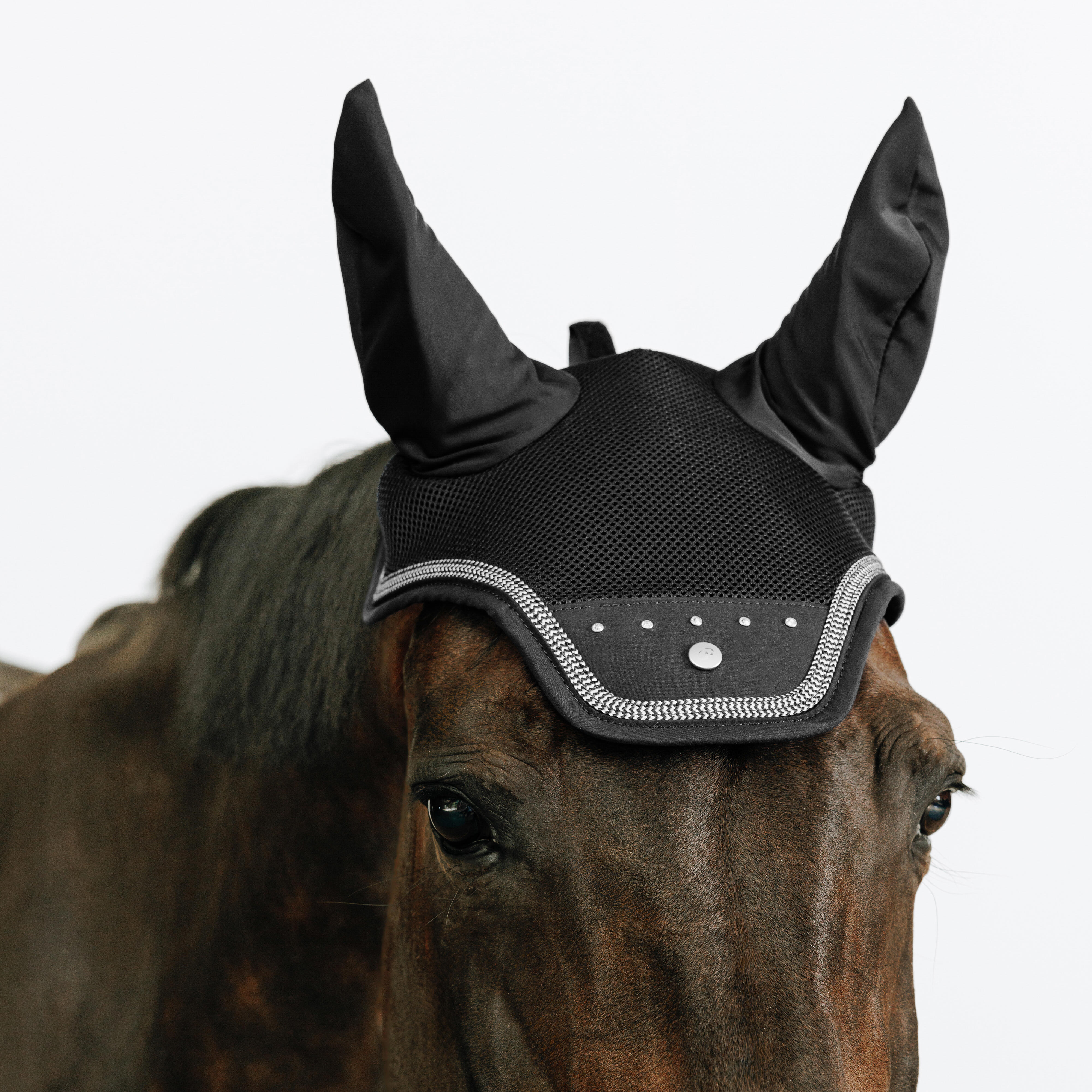 FOUGANZA Fliegenhaube Strass Pferd schwarz | 03608391767501 FOUGANZA Fliegenhaube Strass Pferd schwarz | 03608391767501