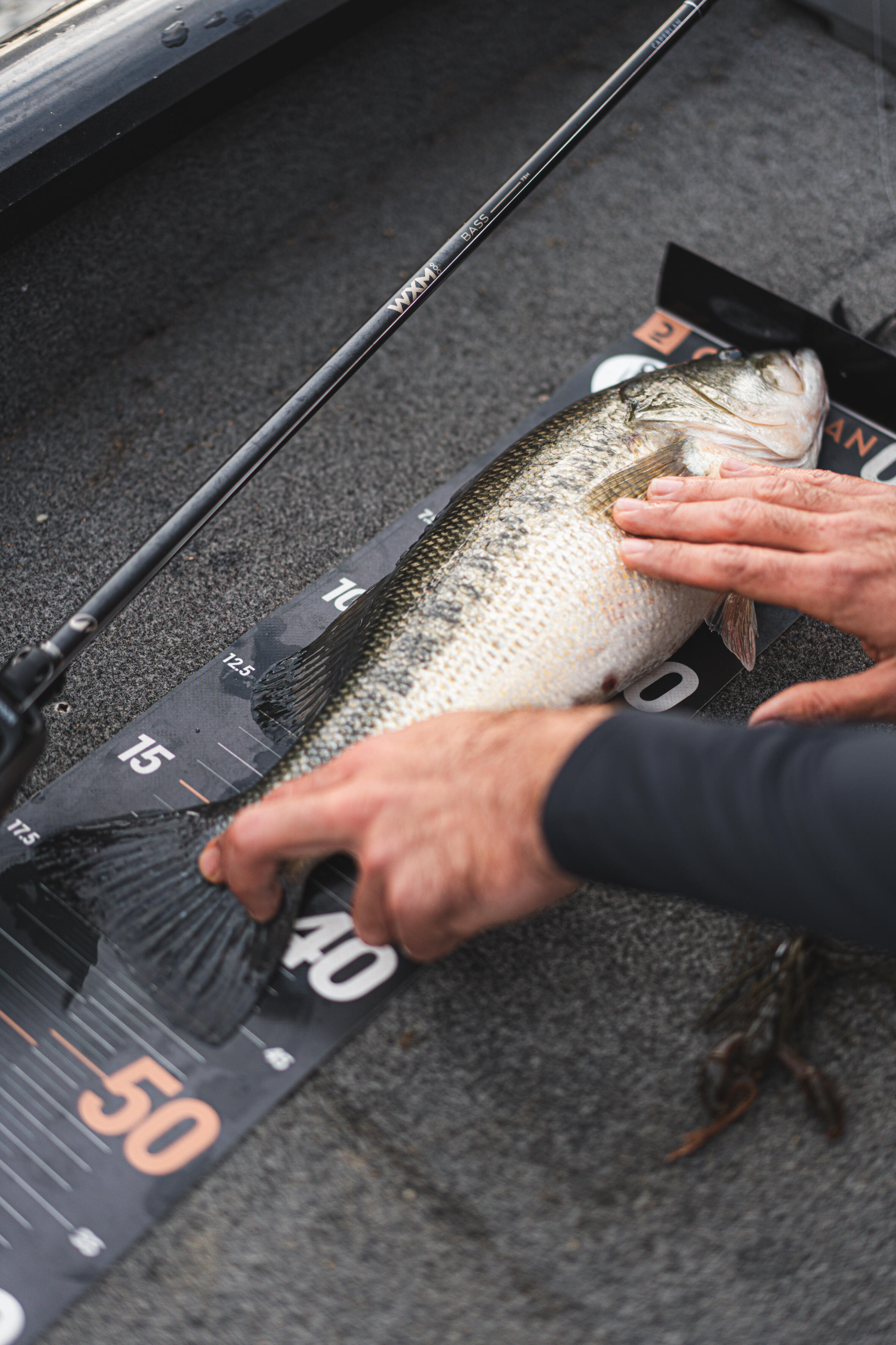 Angelrute WXM-9 Casting 7'3 2,21 m H 10–40 g 3/8–1.4 oz 12/14