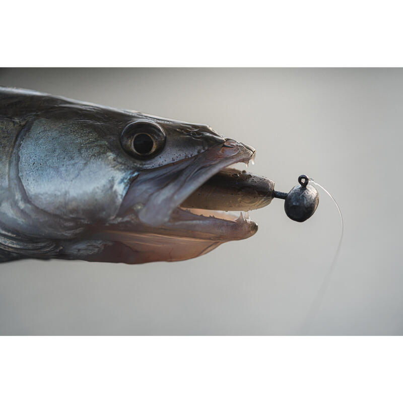 Leurre souple pêche YUBARI FAT SHAD avec Attractant Holographic Pumpkin