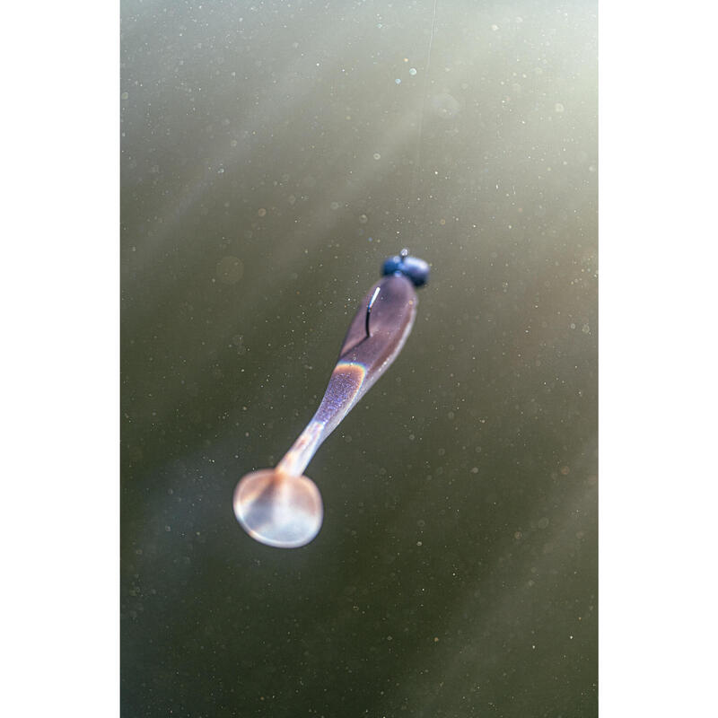 Leurre souple pêche YUBARI FAT SHAD avec Attractant Holographic Pumpkin