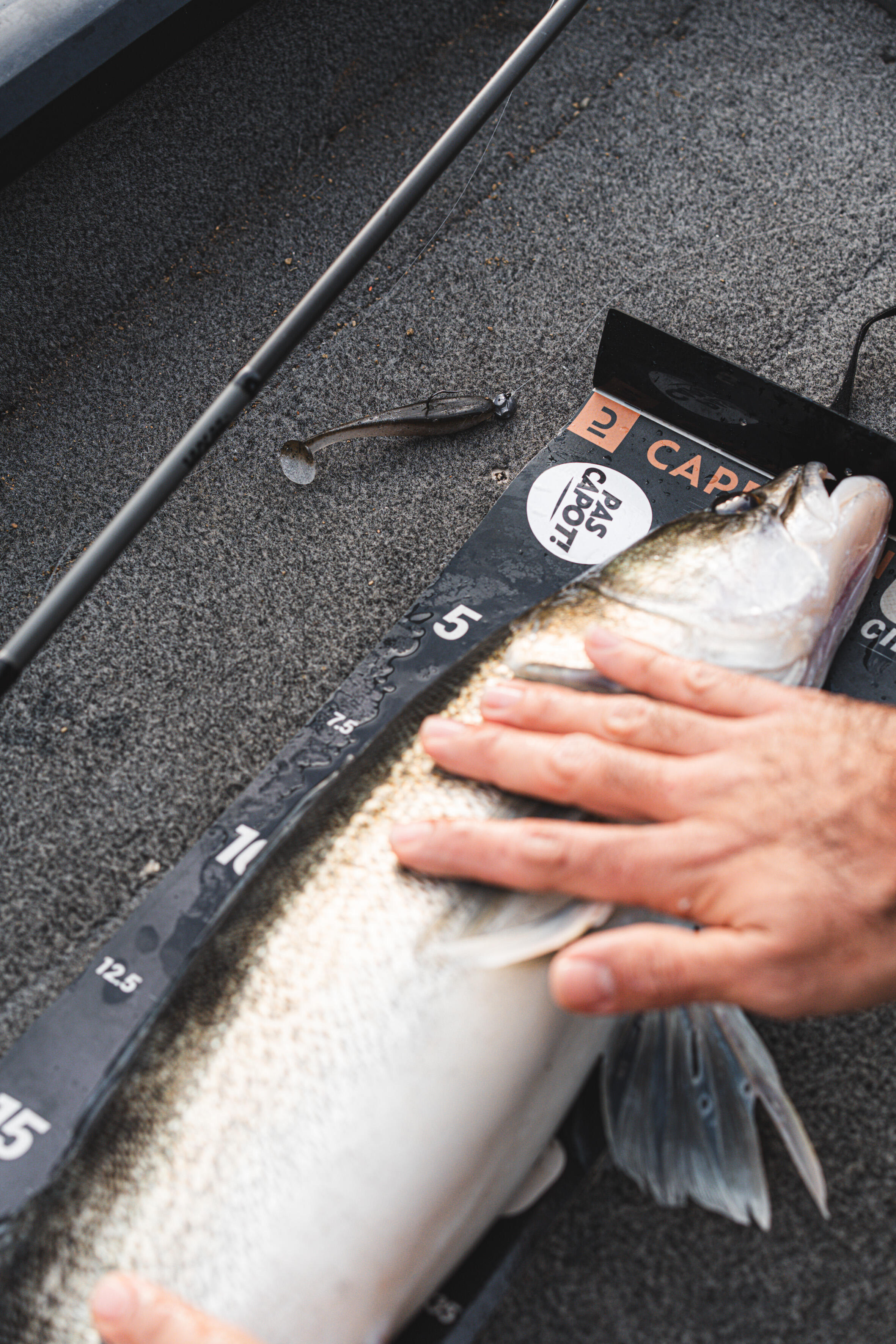 Softbait Yubari fat shad met lokmiddel ruffe 9/10