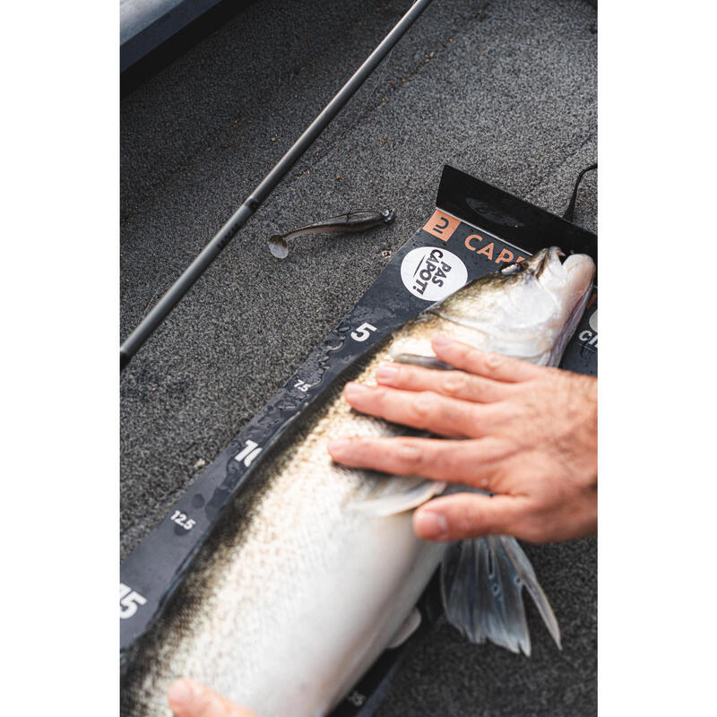 Měkká nástraha Yubari Fat Shad s atraktantem
