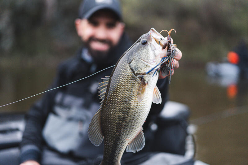 CUM SĂ ALEGI TWISTERUL
