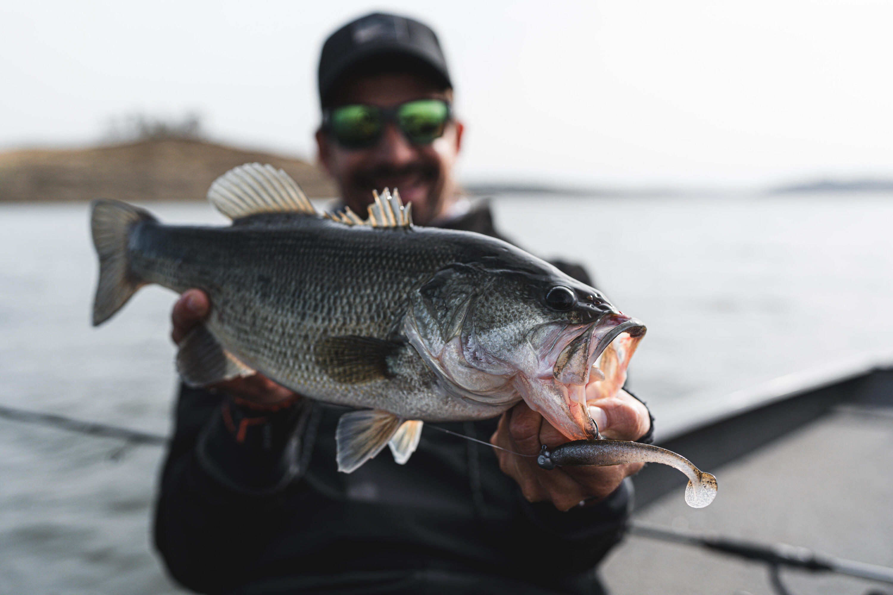 Softbait Yubari fat shad met lokmiddel ruffe 8/10