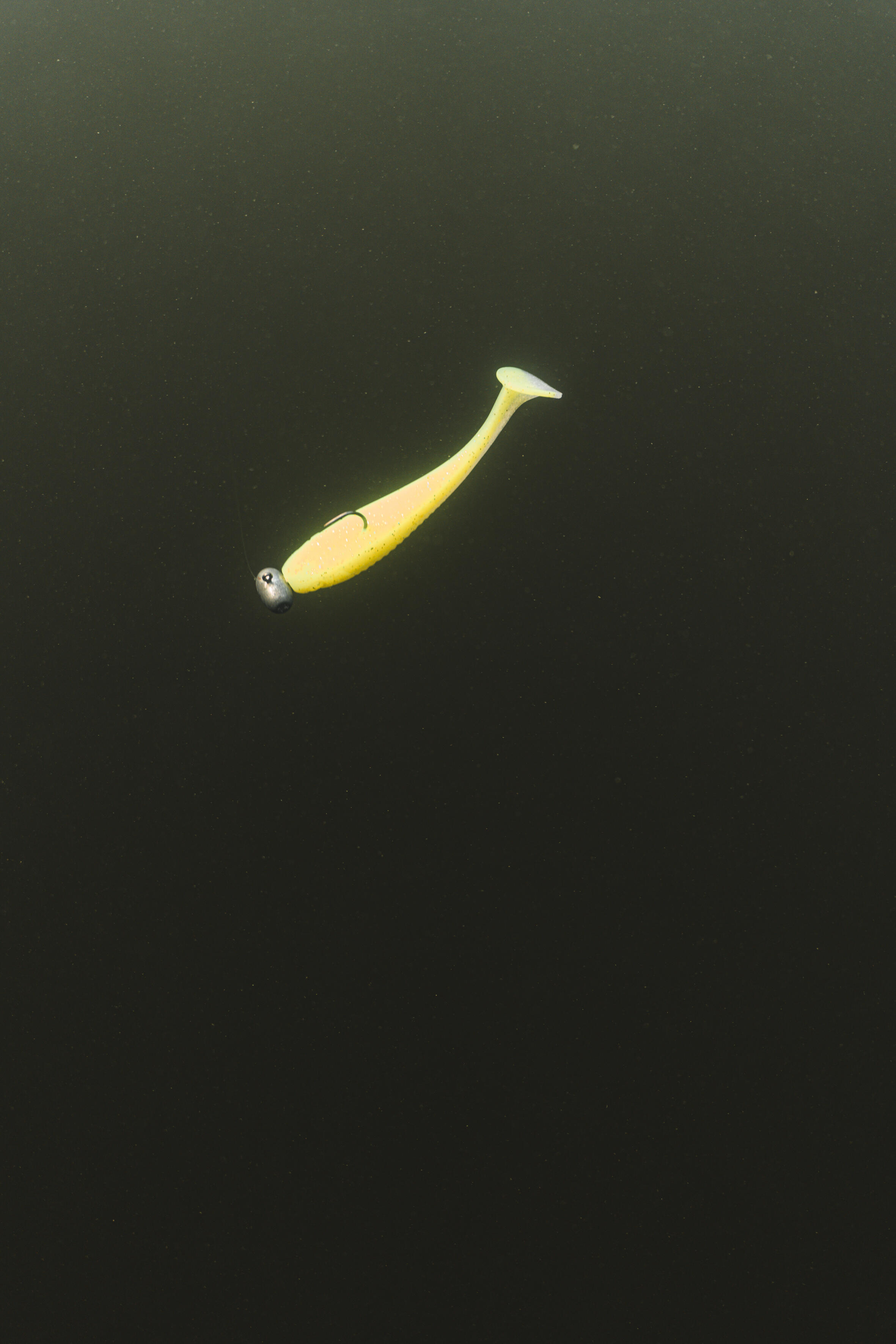 Gummiköder Yubari Fatshad mit Lockstoff gelbgrün  13/16