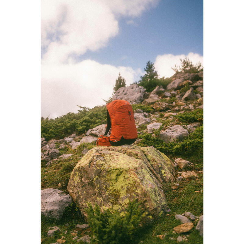Sac à dos de randonnée 25L, MH500 marron