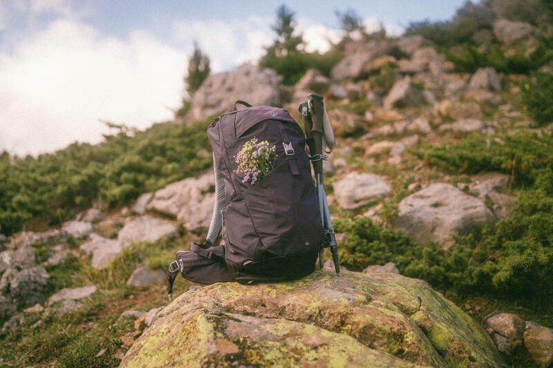 Ljubičasti Quechua MH500 ranac sa poljskim cvećem u bočnom džepu, naslonjen na stenu u planini.