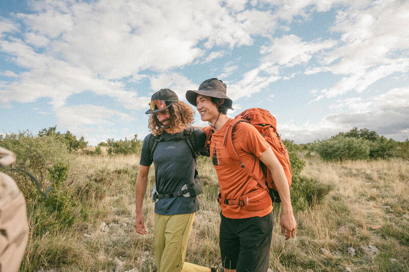 Wandelen in de Oostvaardersplassen: Routes, Vogels & Tips