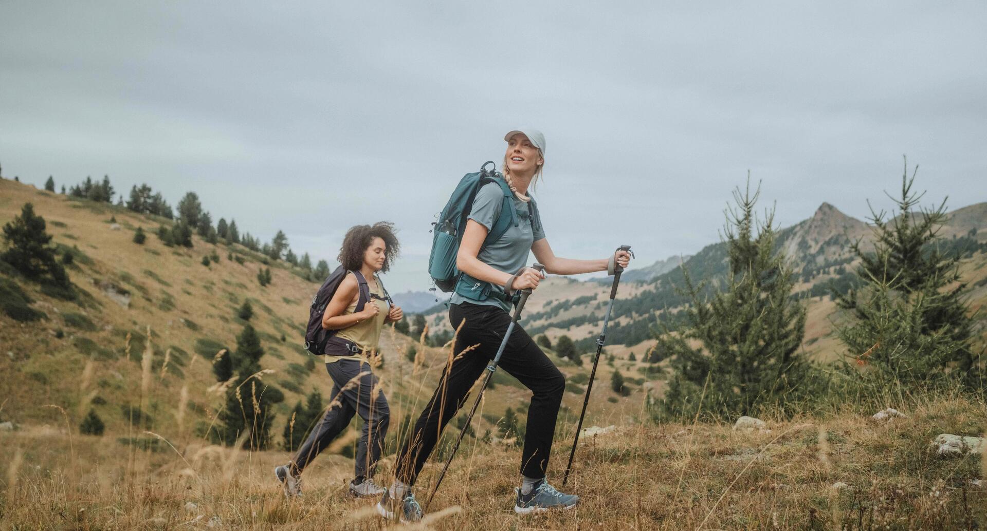 Wandelroutes in de buurt