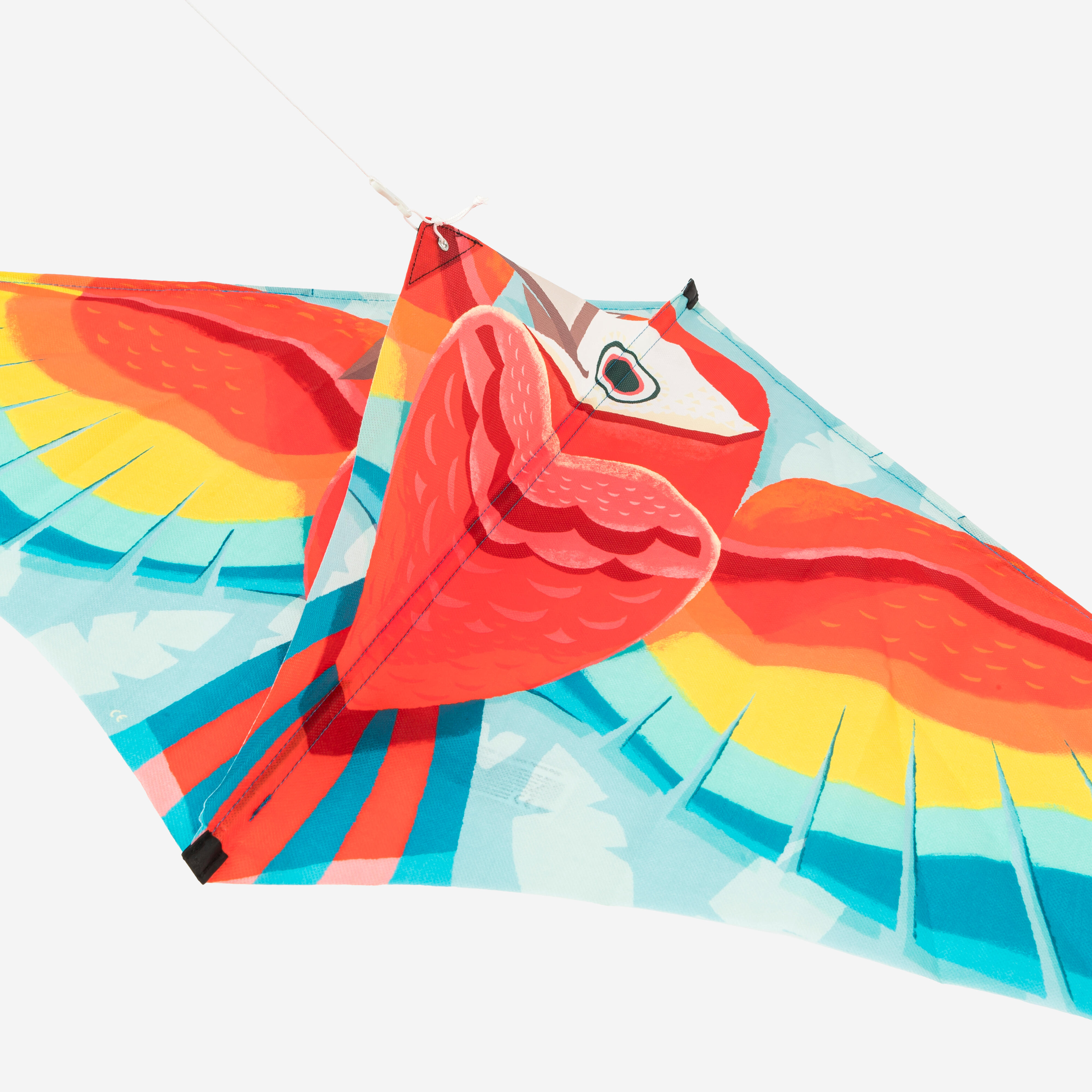 Kids’ static kite - MFK 100 Parrot - Without Line image