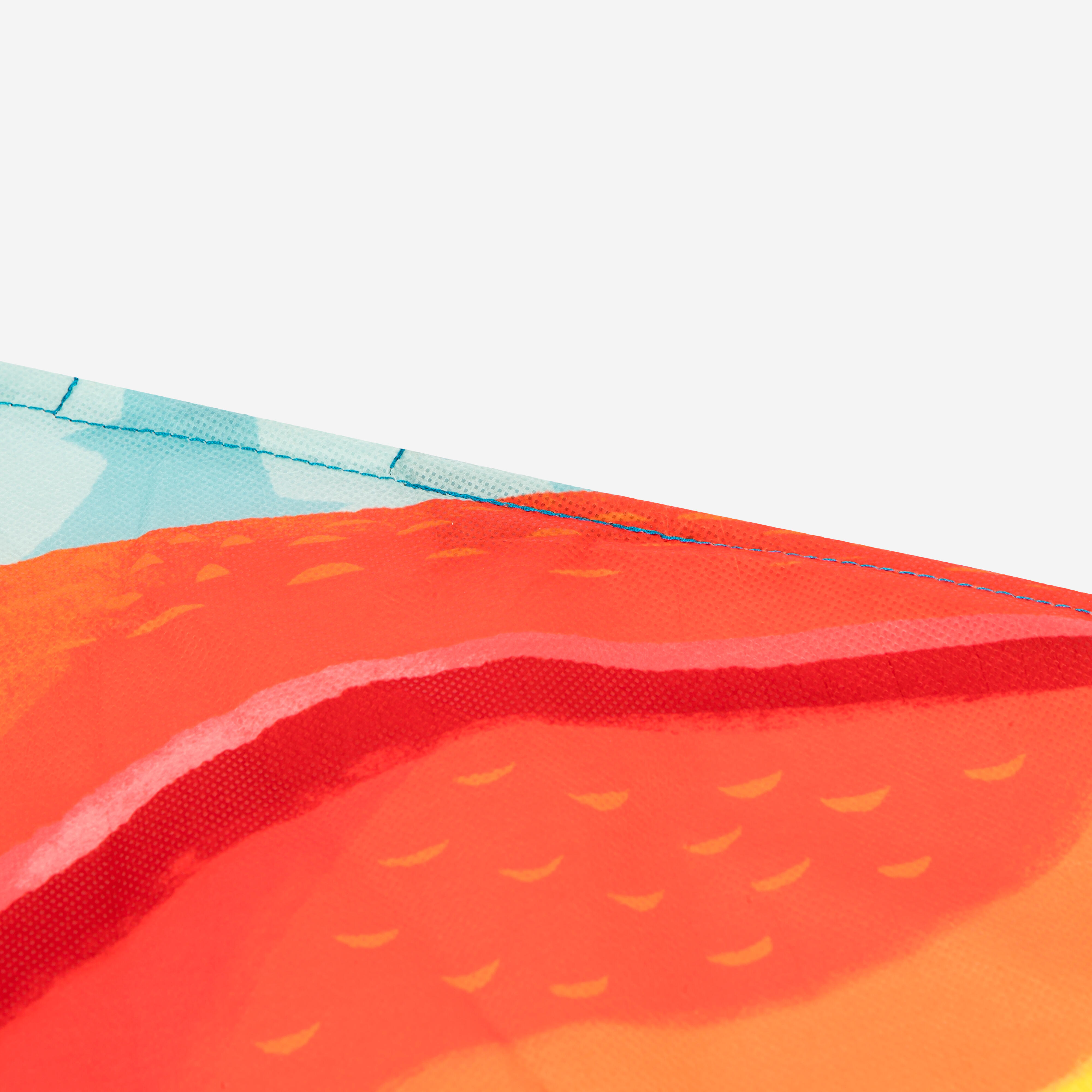 Kids’ static kite - MFK 100 Parrot - Without Line