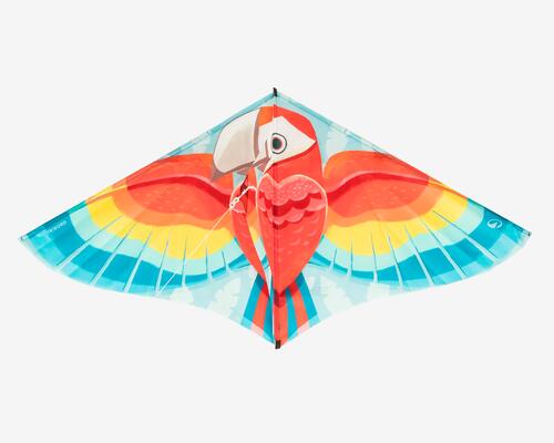 cerf volant perroquet