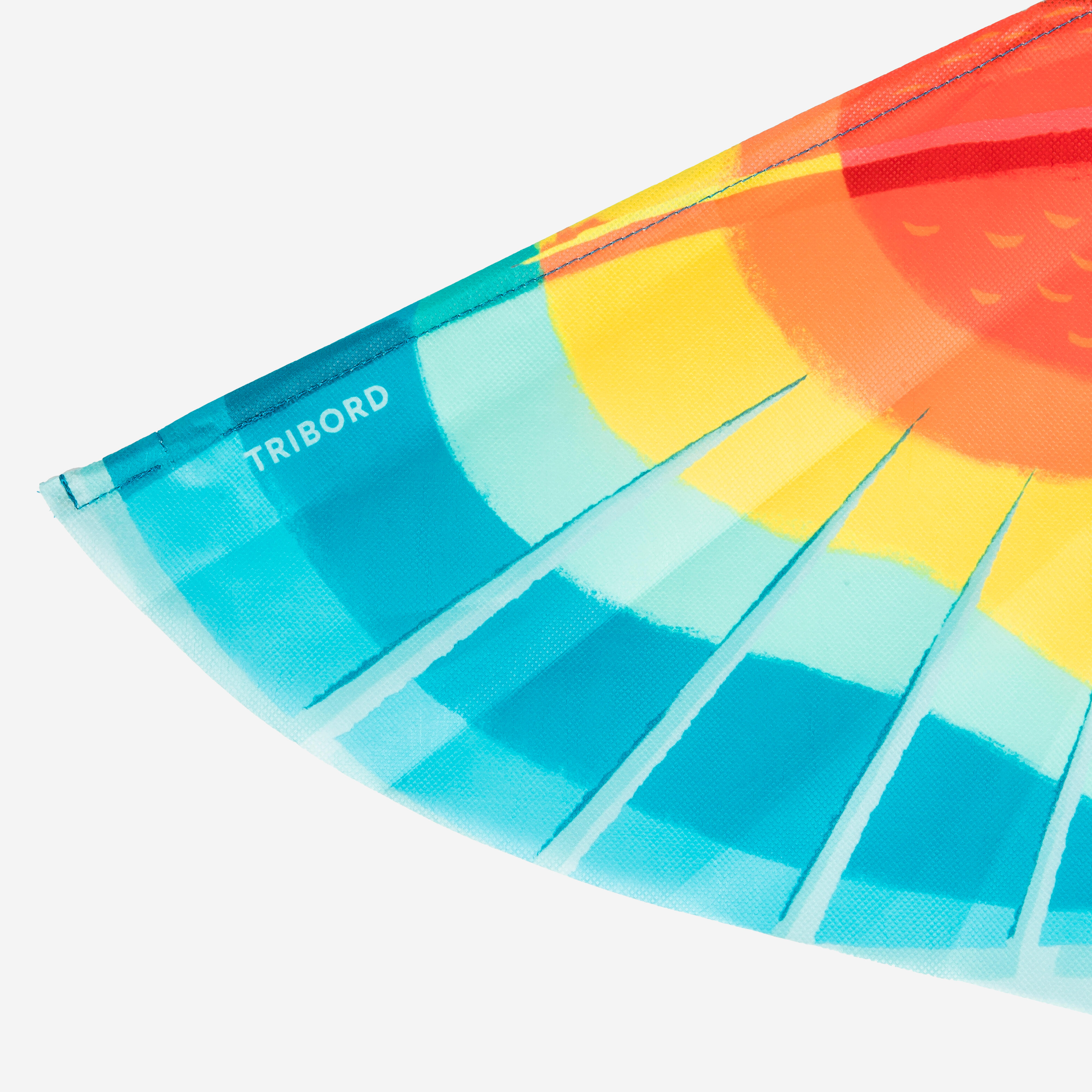 Kids’ static kite - MFK 100 Parrot - Without Line