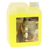Shampoing cheval