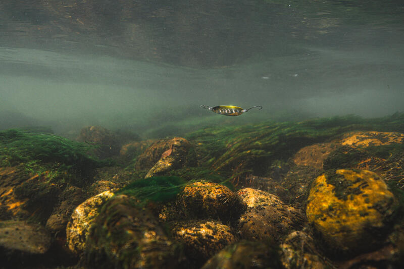 CUM SĂ ALEGI NADA DE PESCUIT