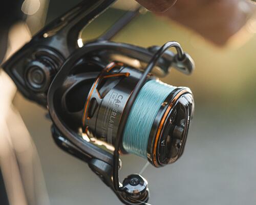 fil de peche truite