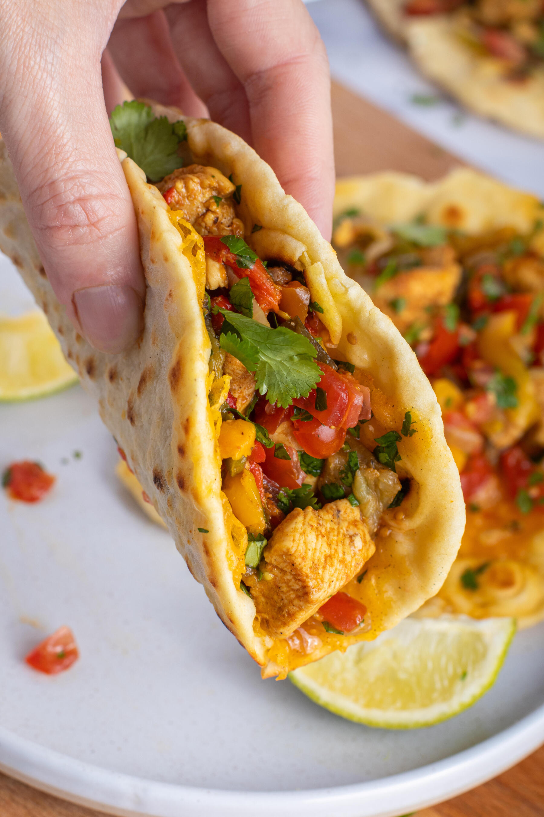 taco met kip, tomaat koriander en kruiden.