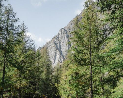 Le Chemin de Compostelle: qu'est-ce qu'il faut emporter ?