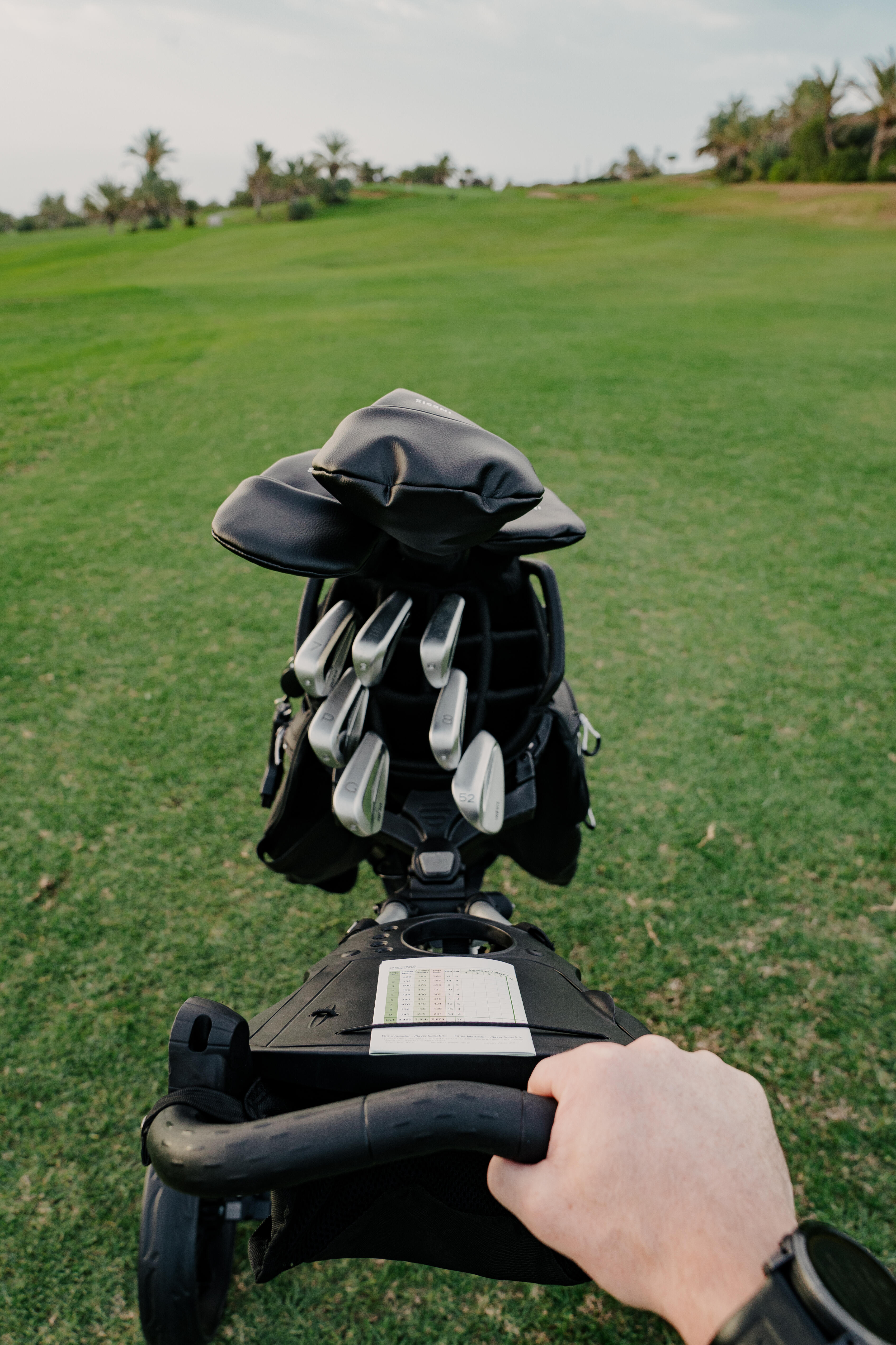 Chariot de golf pliable à 3 roues avec roue avant pivotante - INESIS