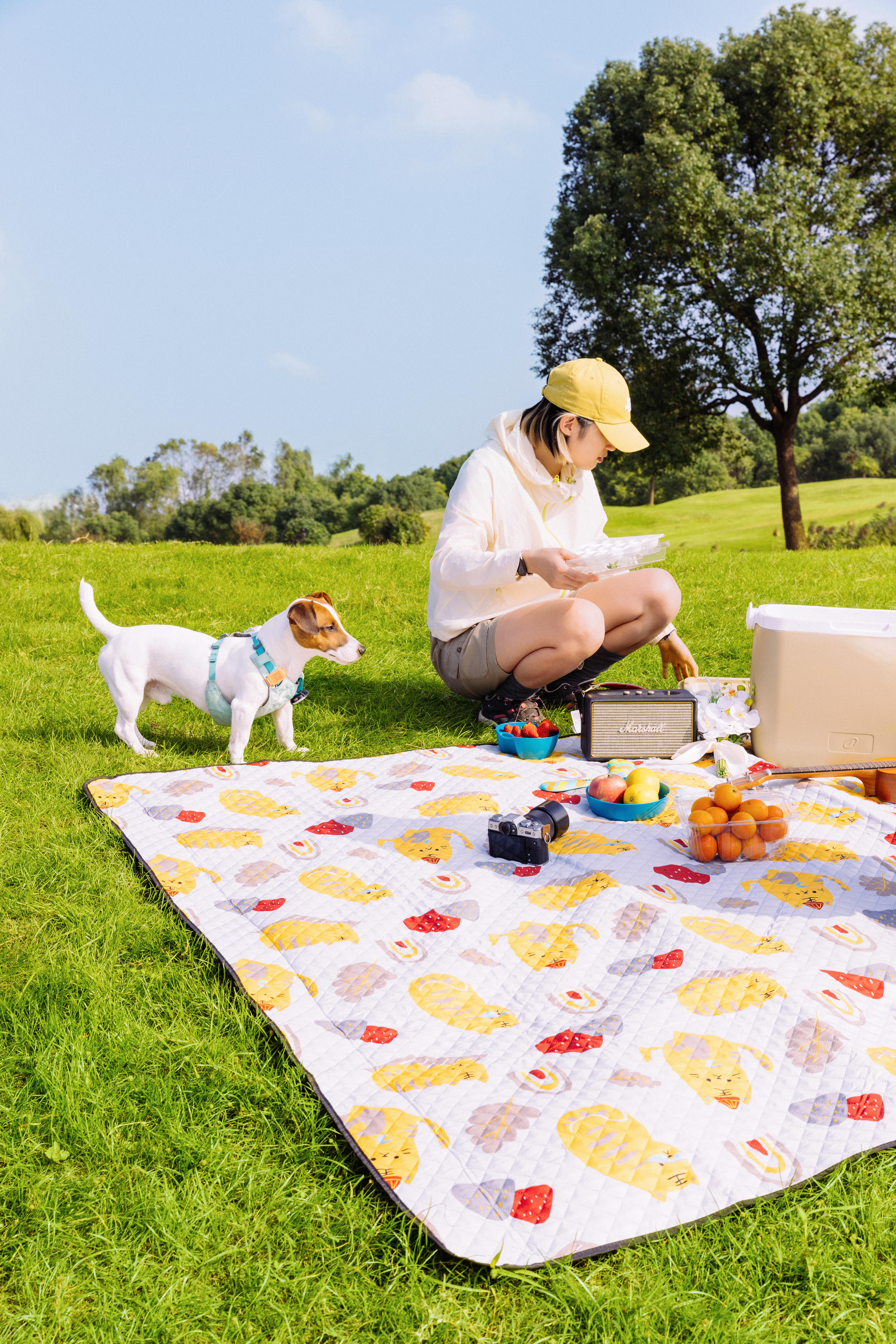 190 x 190 Water Repellent Camping Picnic Mat - Tiger