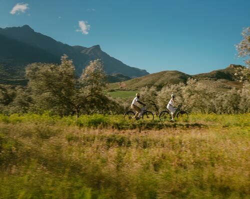 choisir taille son vtc