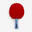 Pálka na stolní tenis TTR 100 3* ITTF pro školy