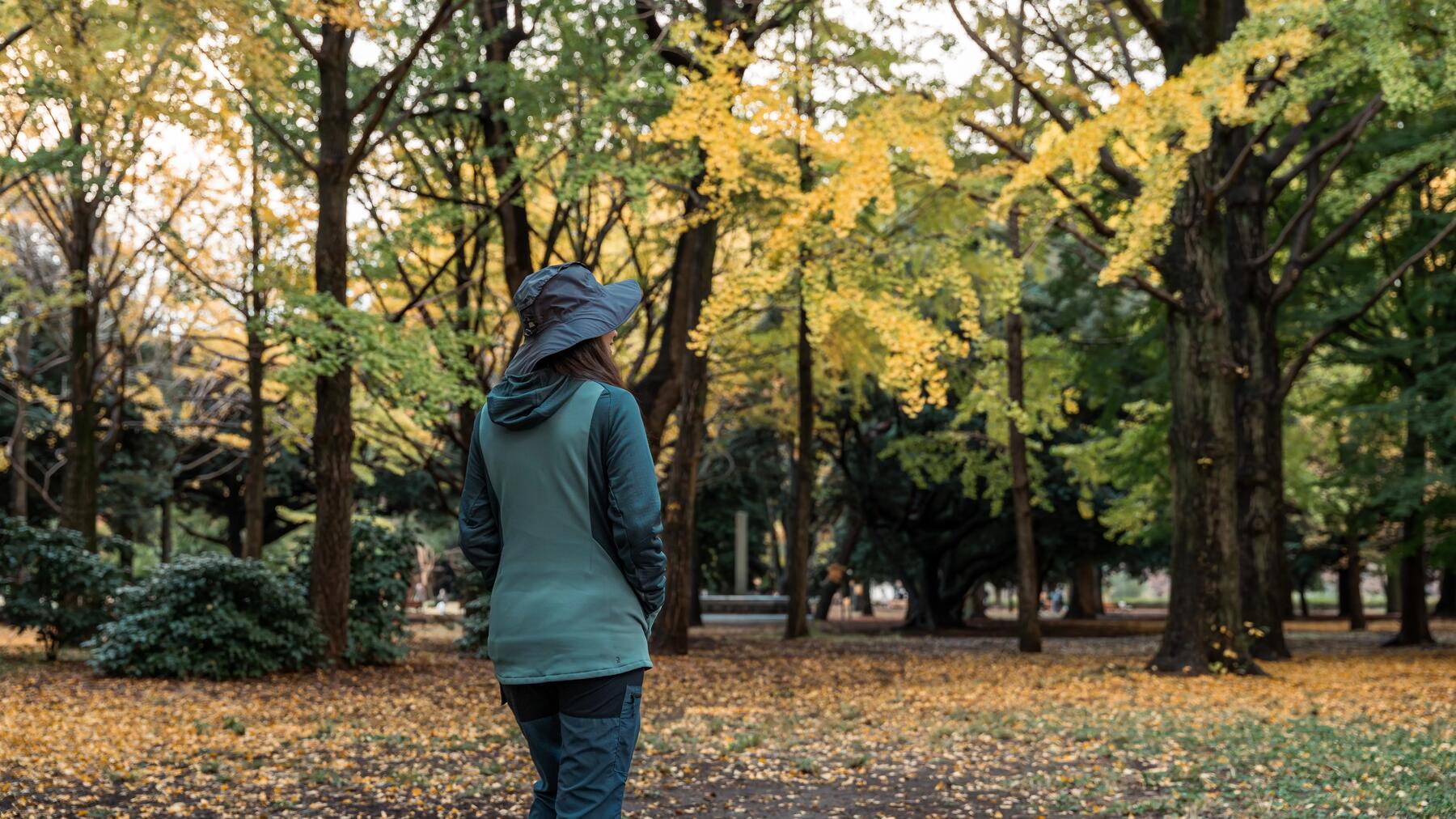 Wandelen herfst