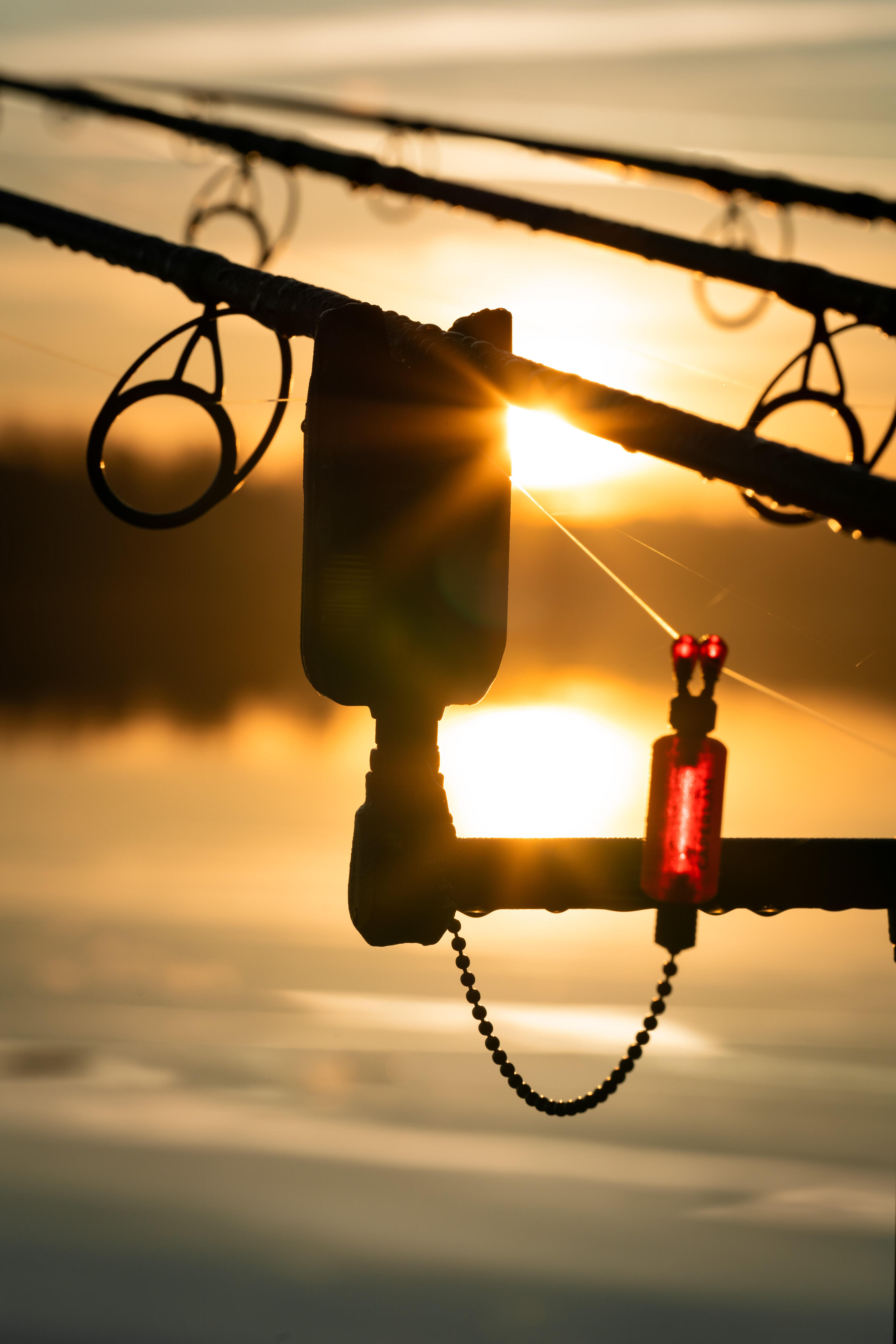 Carp Fishing Sales & Deals