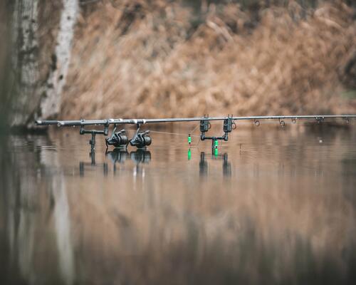 Todo lo que necesitas saber sobre la pesca carpfishing 