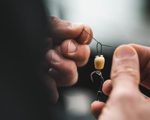 quel hameçon choisir