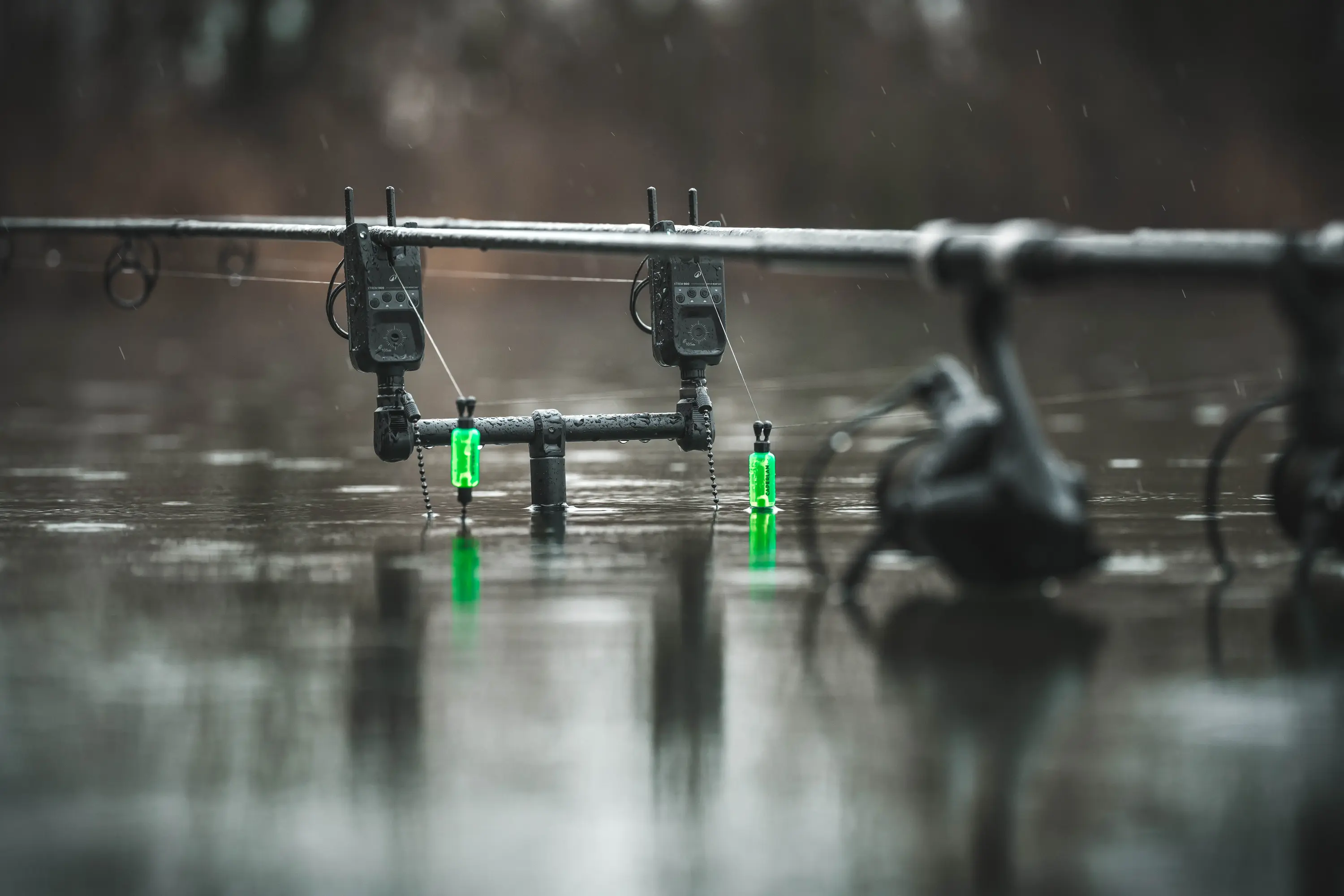pesca da carpa