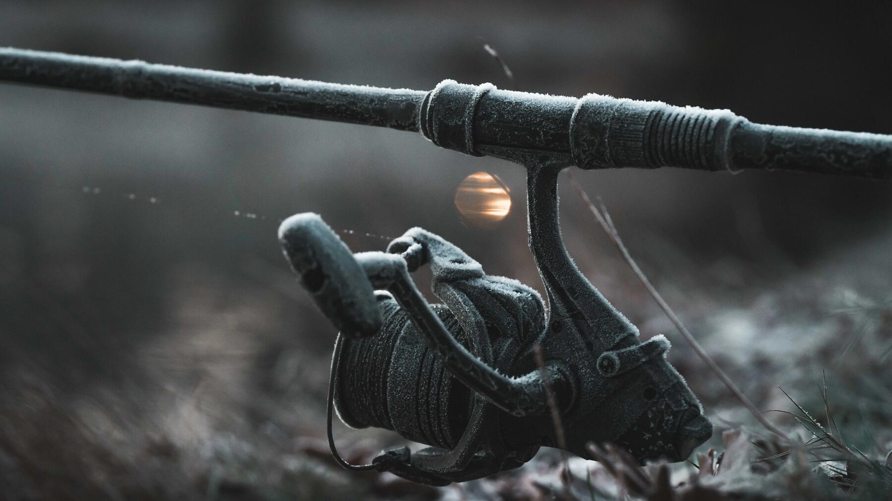 Permis de pêche au Québec : règlementation et tarif