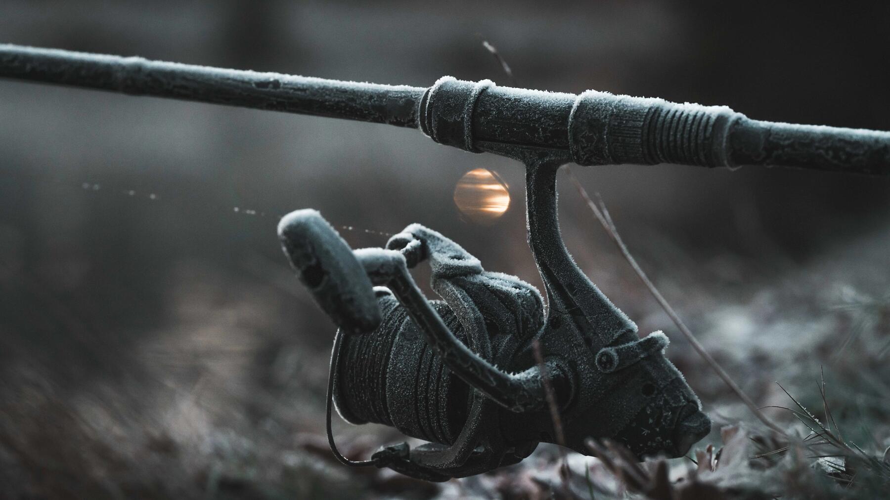 Permis de pêche au Québec : règlementation et tarif